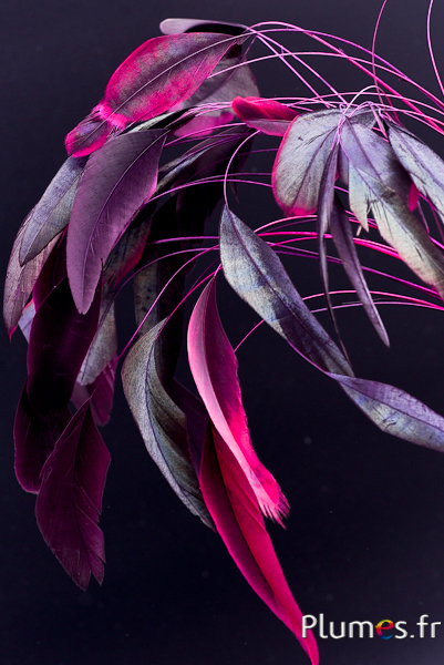 Coquetip - 20-25 cm - fuchsia-marron